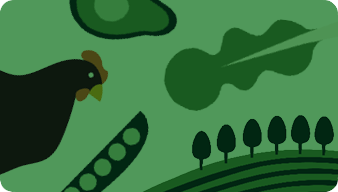 Food & Sustainability
